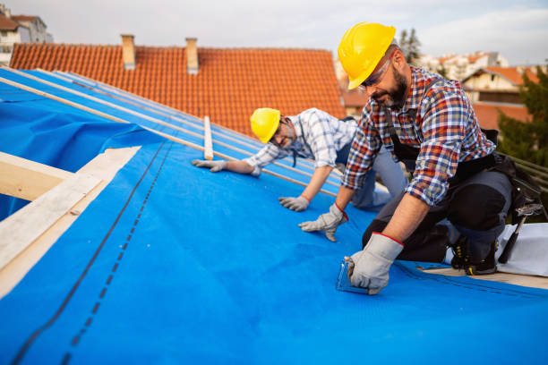 Sheet Metal Roofing in Citrus Heights, CA